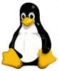 linux user portrait