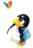 why not linux?